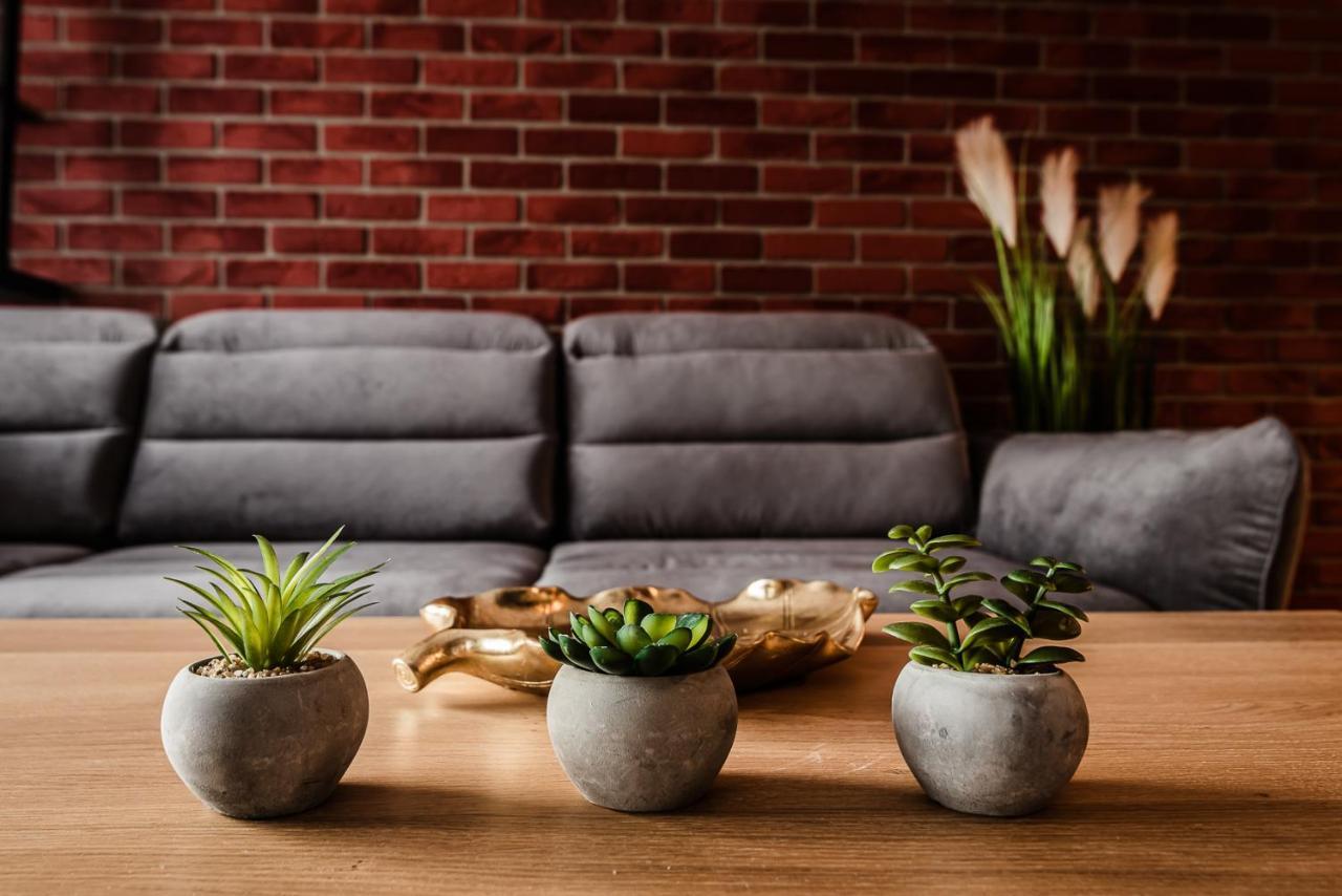 Loft Apartament Aleje Wolnosci Нови Сонч Екстериор снимка